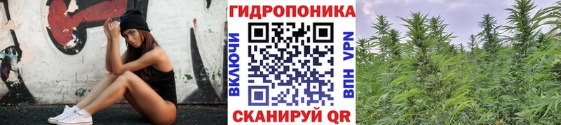 Купить закладки  Костомукша  Канабис Bruce Banner 